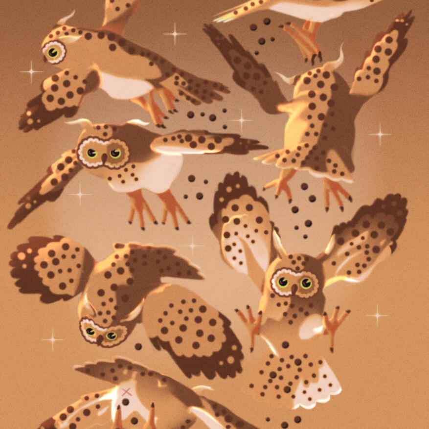 Tawny Tawny